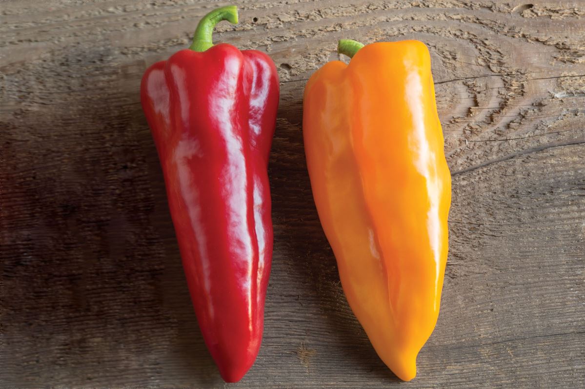 Corno di Toro Pepper Seeds